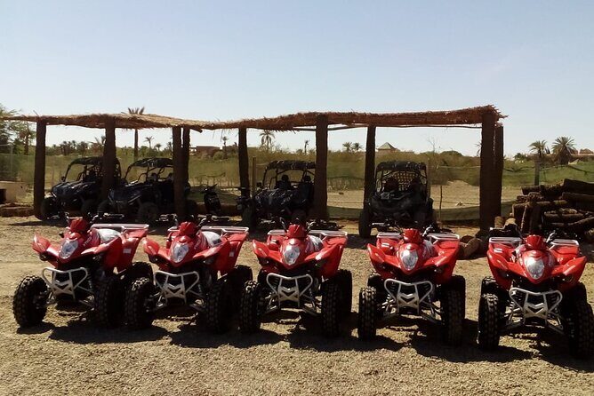 Marrakech Quad Bike Activity in desert palmeraies grove - The Sum Up