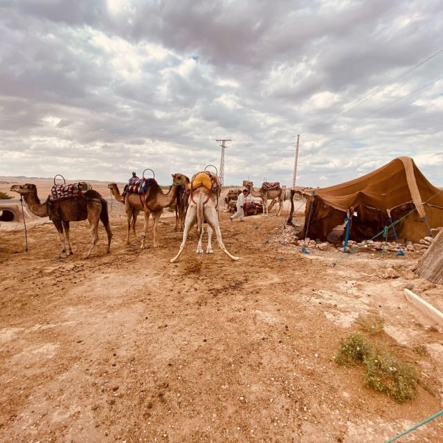 Marrakech: Quad Bike & Camel with dinner show & sunset - The Sunset and Scenic Beauty
