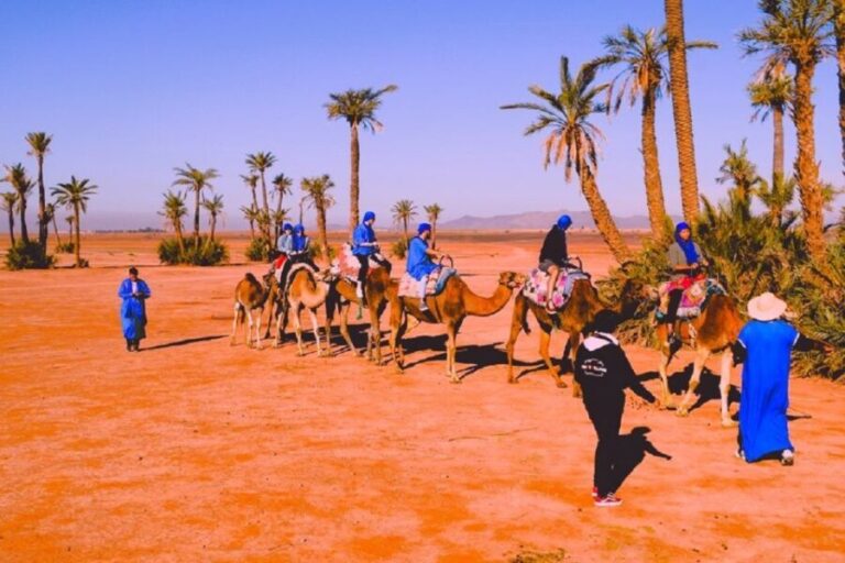 Marrakech: Quad Biking and Camel Ride Berber Villages Tour - What’s Included and What to Bring