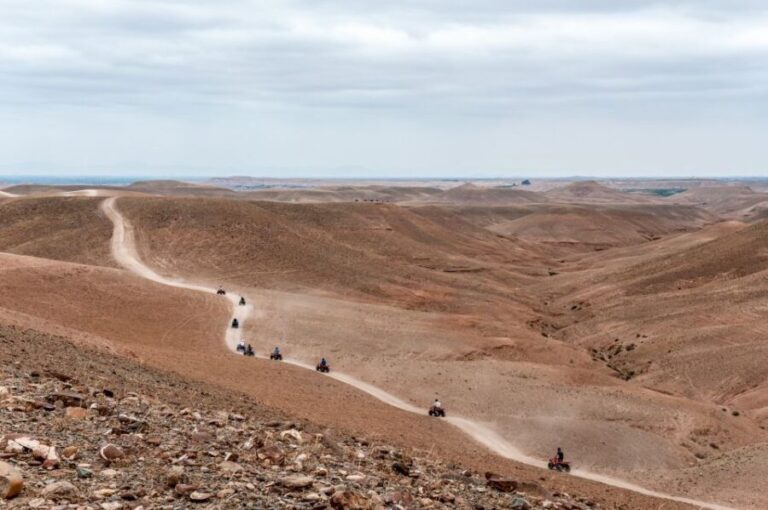 Marrakech: Quad in Jbilets Desert Tour w/ Palm Grove & Pool - Final Thoughts