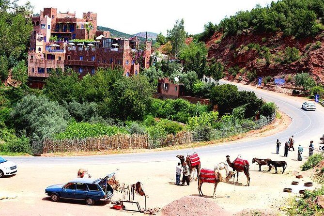 Marrakech : shared trip to ourika valley with guide & lunch - Lunch and Relaxation
