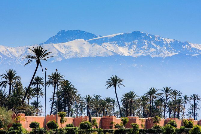 MARRAKECH SHOPPING tour half day - Who Will Enjoy This Tour?