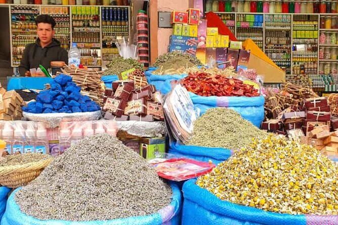 Marrakech street Food Tour Eat like Locals - Who Will Love This Tour?