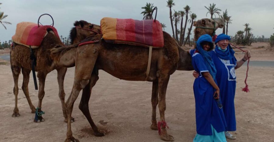 Marrakech: Sunset Camel Ride in the Palmeraie - Practical Details: What to Expect and How to Prepare