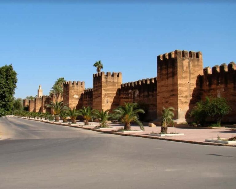 Marrakech: Taroudant Day Trip with Lunch - What to Expect on the Day