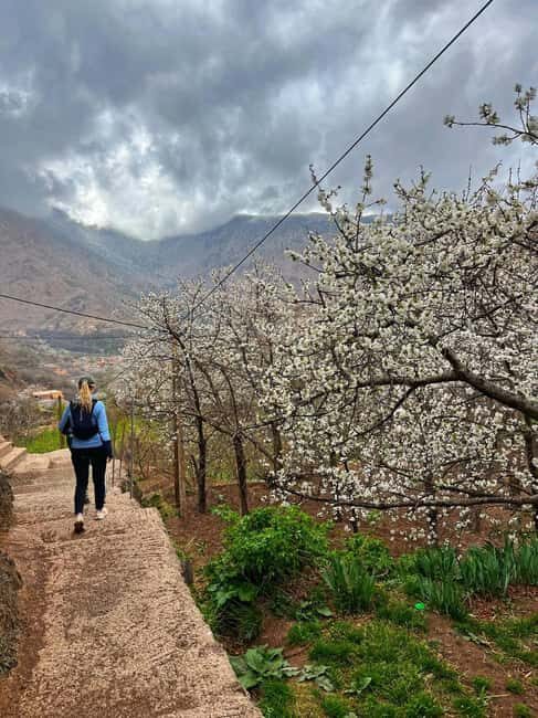 Marrakech: Tedli Summit Atlas Mountains Day Hike & Lunch - Highlights That Make This Tour Stand Out