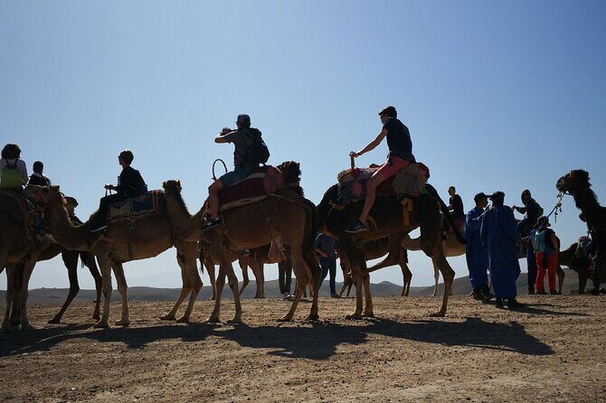 Marrakech to Agafay Desert: Sunset Camel Ride - The Value of This Tour