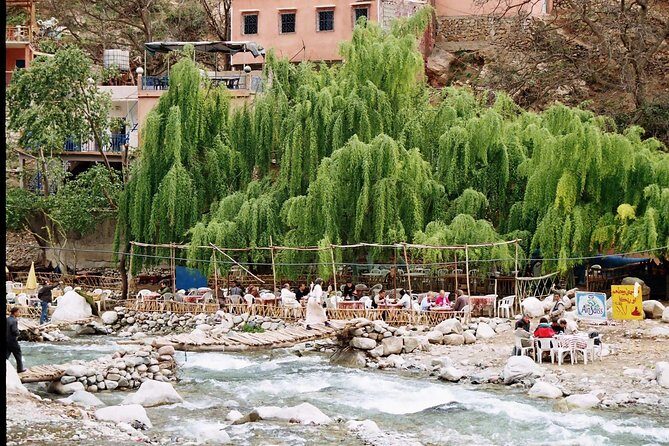 Marrakech to Atlas Mountains: Day trip to Ourika valley - Final Thoughts