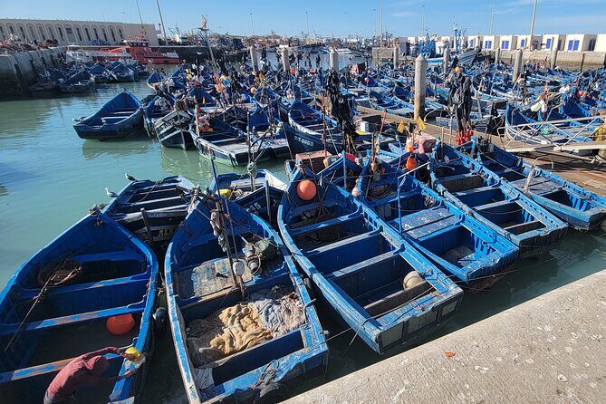 Marrakech to Essaouira Day Tour: History, Culture, and Sea - Understanding the Value