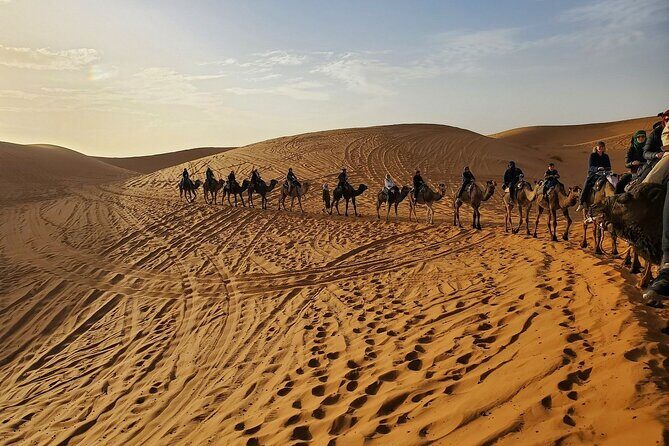 Marrakech to Fes Adventure: Uncover the Heart of Morocco - Who Will Love This Tour?