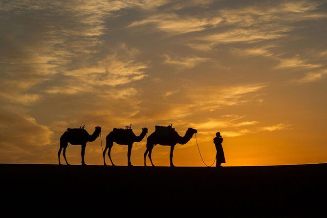 Marrakech to Fes desert tour 3 days & Camel trek (All-inclusive) - Who Will Love This Tour?