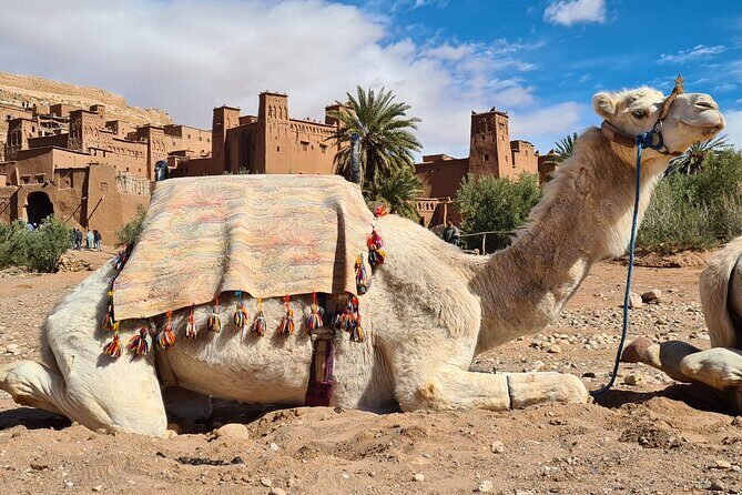 Marrakech to Merzouga: 3-Day Desert Journey to Erg Chebbi - Analyzing the Value