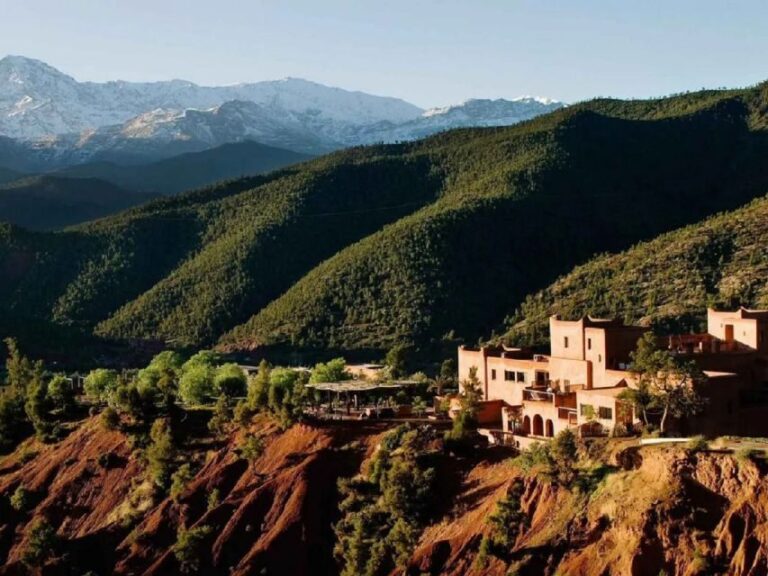 Marrakech to Ourika Valley Day Tour and Anima Garden Visit - Final Thoughts