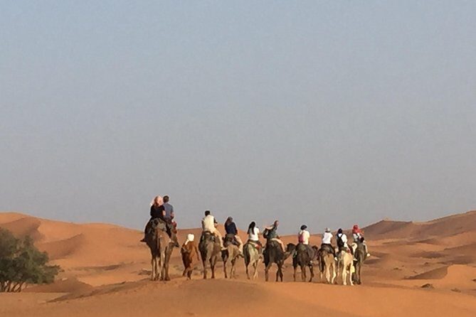 Marrakech to Zagora 2 Days Desert Tour - Journeying Toward the Sahara