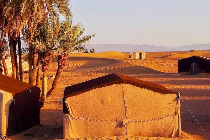 Marrakech to Zagora Tour- Marrakech Desert Tour 2 Days - What Travelers Say