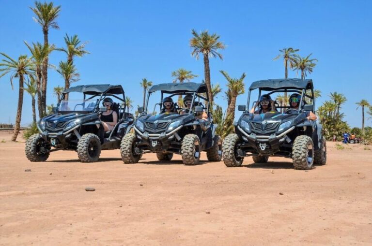 Marrakech:Activities Quad bik/Buggy/Camel at the palm grove - What About the Cost and Value?