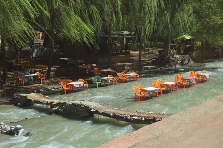 Marrakech's Atlas Adventures Ourika valley & Savory Lunch - Practical Details: What to Expect