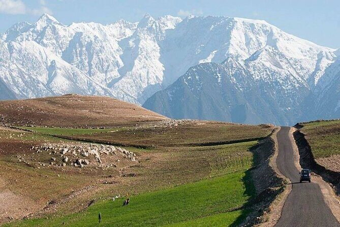 Marrakesh: Agafay Desert and Atlas Mountains & Waterfalls Tour - Why It Works for Travelers