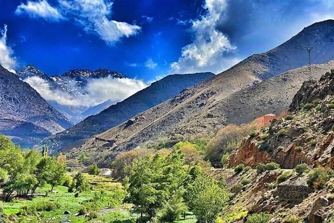 Marrakesh: Atlas Mountains Ourika Valley waterfall & Guide - What Past Travelers Say