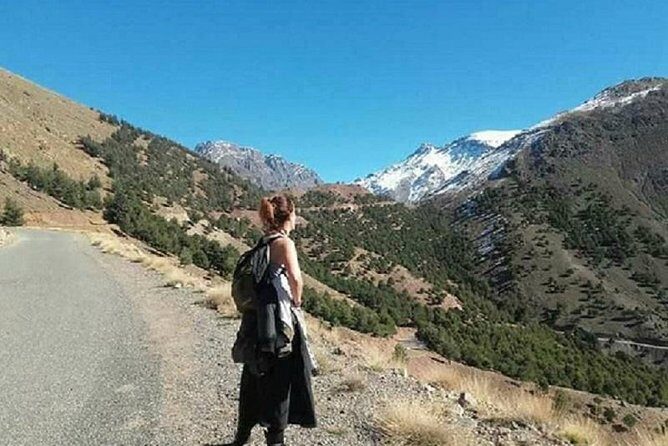 Marrakesh day tour to ourika valley and Atlas Mountains - The Sum Up