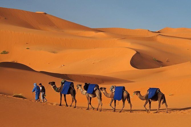Marrakesh desert tour 3 days - Who Is This Tour Best For?