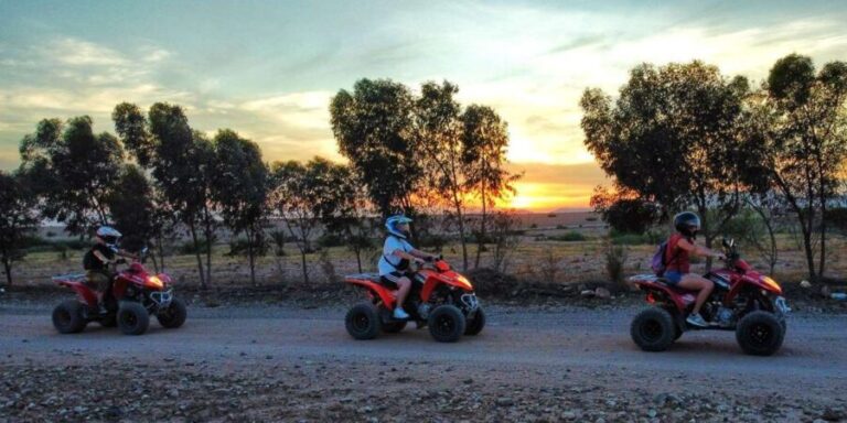 Marrakesh Palmeraie: Quad bike Adventure at Sunset - Who Will Love This Tour?