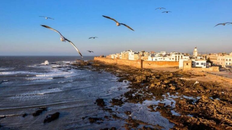 Marrakesh to Essaouira: Small-Group Day Trip & Cooperatives - Authentic Experiences That Matter