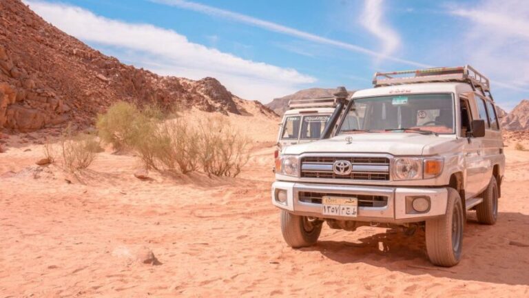 Marsa Alam Bedouin Nights: Jeep Safari, Dinner & Stargazing - What Makes This Tour Valuable