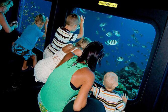 Marsa Alam: Royal Seascope Submarine cruise with pickup - The Itinerary in Detail: What to Expect