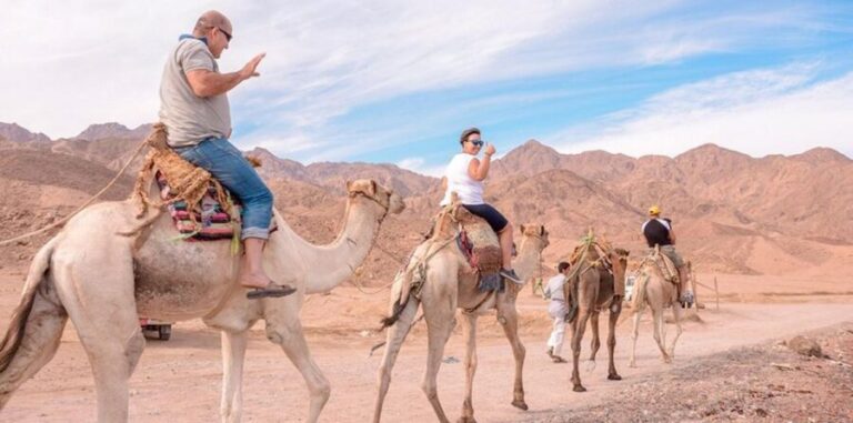Marsa Alam: Sea and Desert Camel Riding Tour - Authenticity and Animal Care
