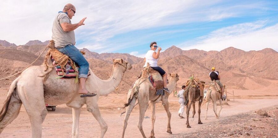 Marsa Alam: Sea and Desert Camel Riding Tour - Authenticity and Animal Care