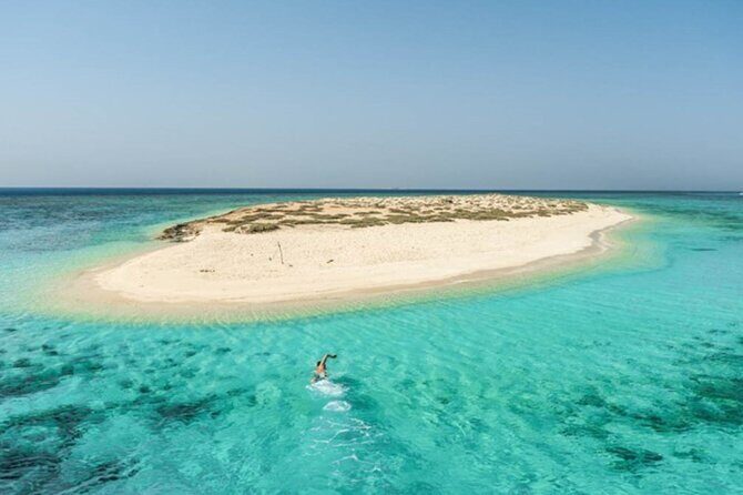 Marsa Alam: Snorkel with Sea Cows and Turtles at Marsa Mubarak - Practical Details and Logistics