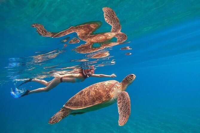 Marsa Mubarak Sea Snorkeling Boat Trip From Marsa Alam - Authentic Experiences and Authentic Challenges