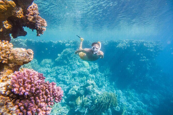 Marsa Mubarak Snorkeling Sea Trip & Transfer & Lunch  Marsa Alam - Who Would Love This Trip?