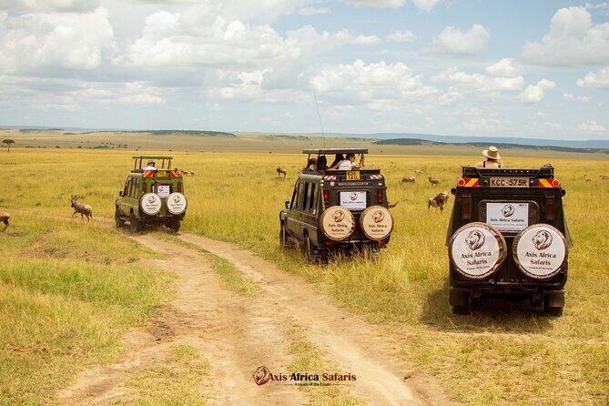 Masai Mara 3 Days Tour Safari Private 4WD Landcruiser - Transport and Comfort