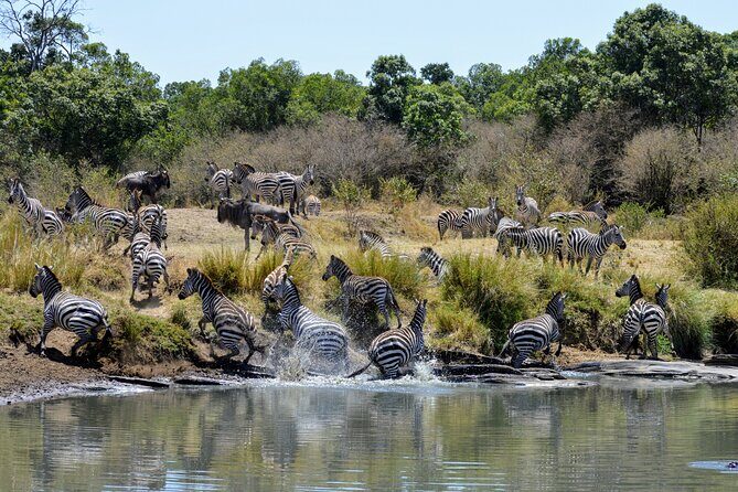 Masai Mara classic safari with optional Masai Village - Why This Tour Offers Great Value