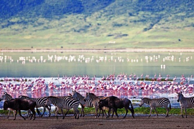 Masai Mara Game Reserve Safari Tour, 4 Days 3 Nights - FAQ