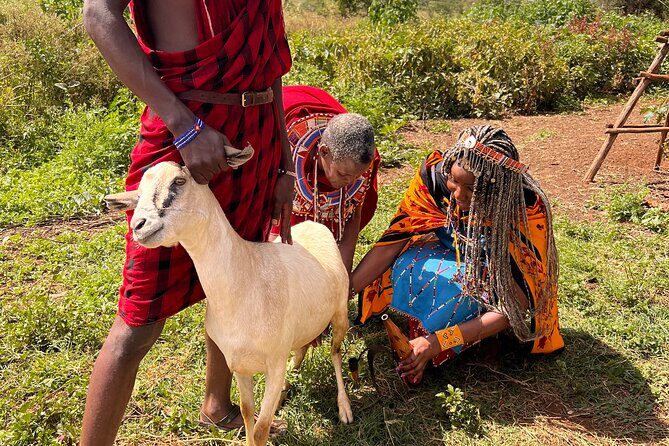 Masai village Cultural afternoon Experience - Authentic Reviews: Voices from Past Travelers