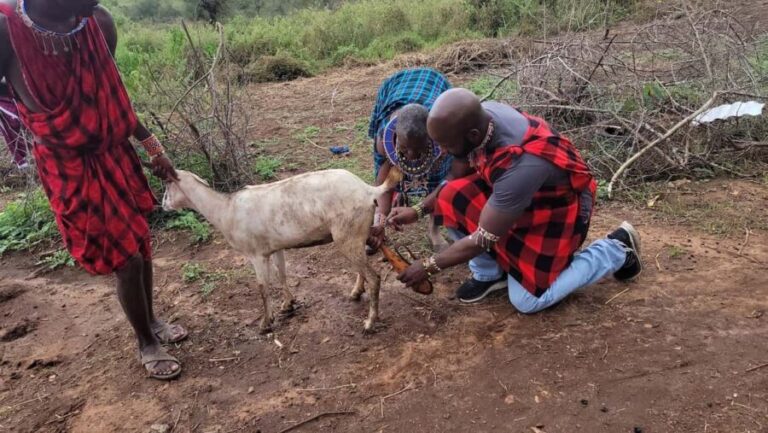 Masai Village Experience (Day trip) - Final Thoughts: Is It Worth It?