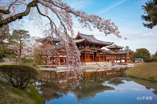 Matcha Grinding Experience and Walking Tour in Uji Kyoto - Analyzing the Value