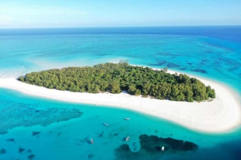 Matemwe village: Half day Snorkeling trip at Mnemba Island - Authentic Underwater Encounters and Experienced Guides
