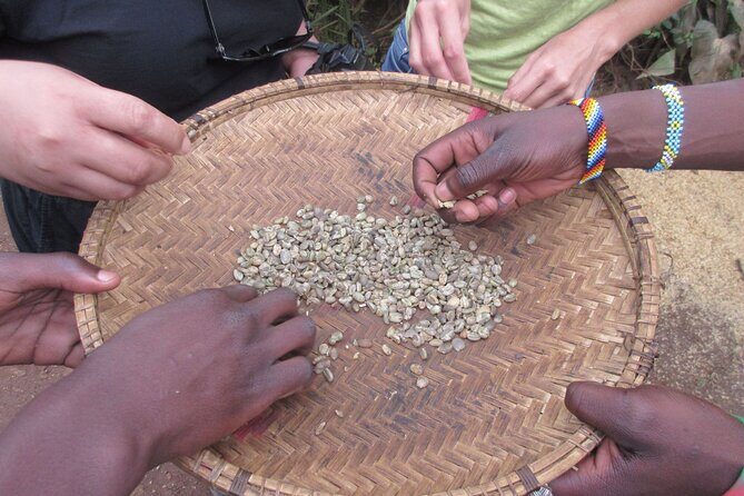 Materuni Thundering Waterfalls,Coffee Experience with Moshi Town Tour - A Detailed Breakdown of the Tour