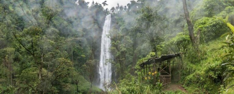 Materuni Waterfalls and Chemka Hot Springs Day Trip - Analyzing the Value