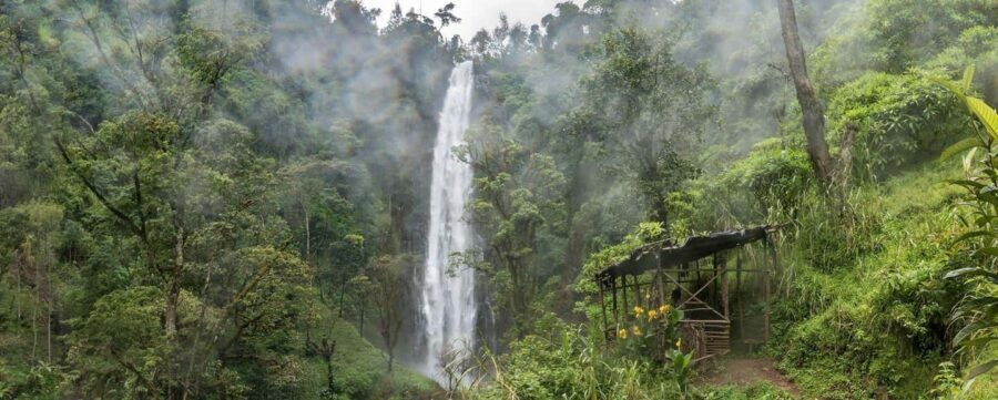 Materuni Waterfalls and Chemka Hot Springs Day Trip - Analyzing the Value