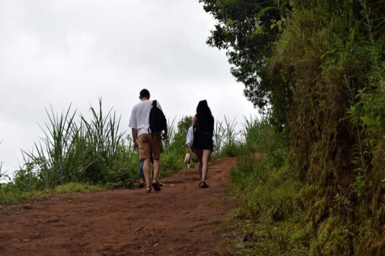 Materuni Waterfalls, Chemka Hot Springs, &/Or Coffee Tour - What to Expect on This Day Trip