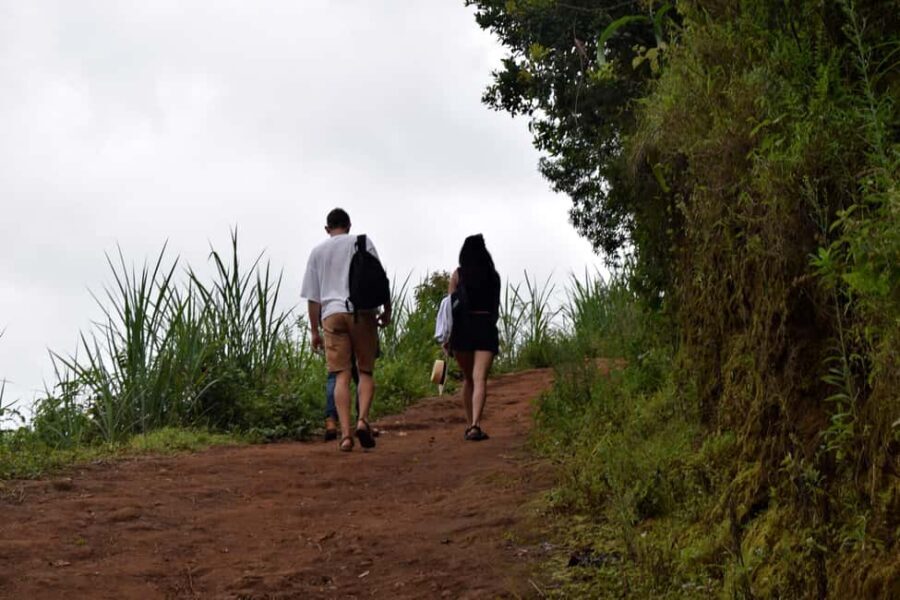 Materuni Waterfalls, Chemka Hot Springs, &/Or Coffee Tour - What to Expect on This Day Trip