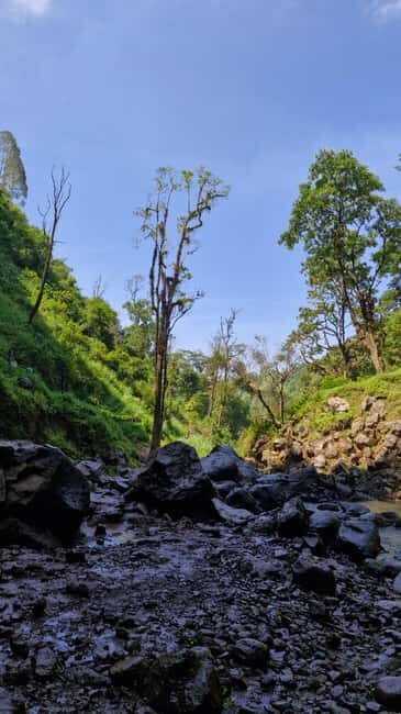 Materuni Waterfalls, Chemka Hot Springs, &/Or Coffee Tour - Who Will Love This Tour?