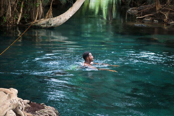 MATERUNI waterfalls, coffe tour & kikuletwa hotsprings - Who Should Consider This Tour?