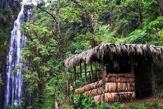 Materuni Waterfalls, Coffee and Village Full Day Tour - The Itinerary Breakdown