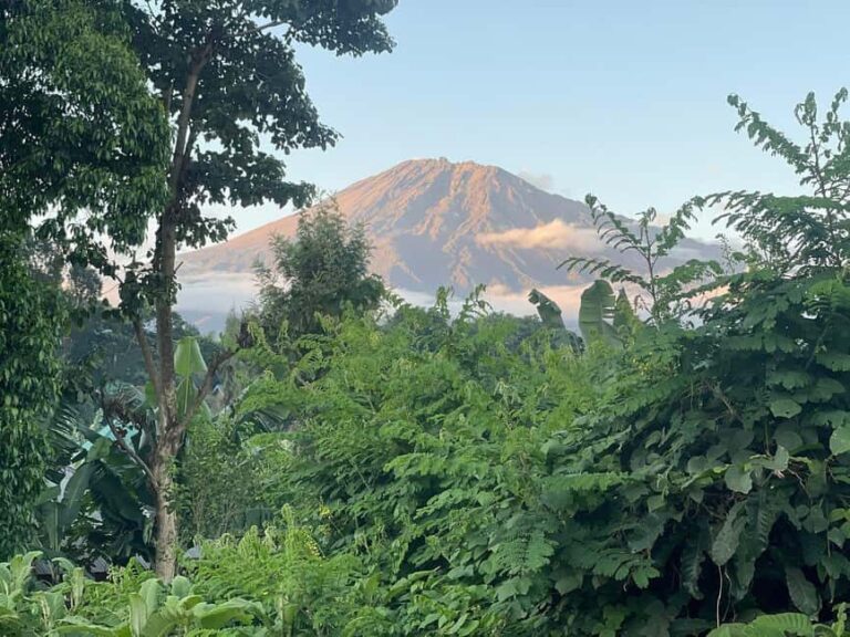 Materuni Waterfalls : Coffee Farm, and Hot Springs Day Trip - Final Thoughts: Is It Worth It?